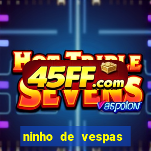 ninho de vespas significado espiritual